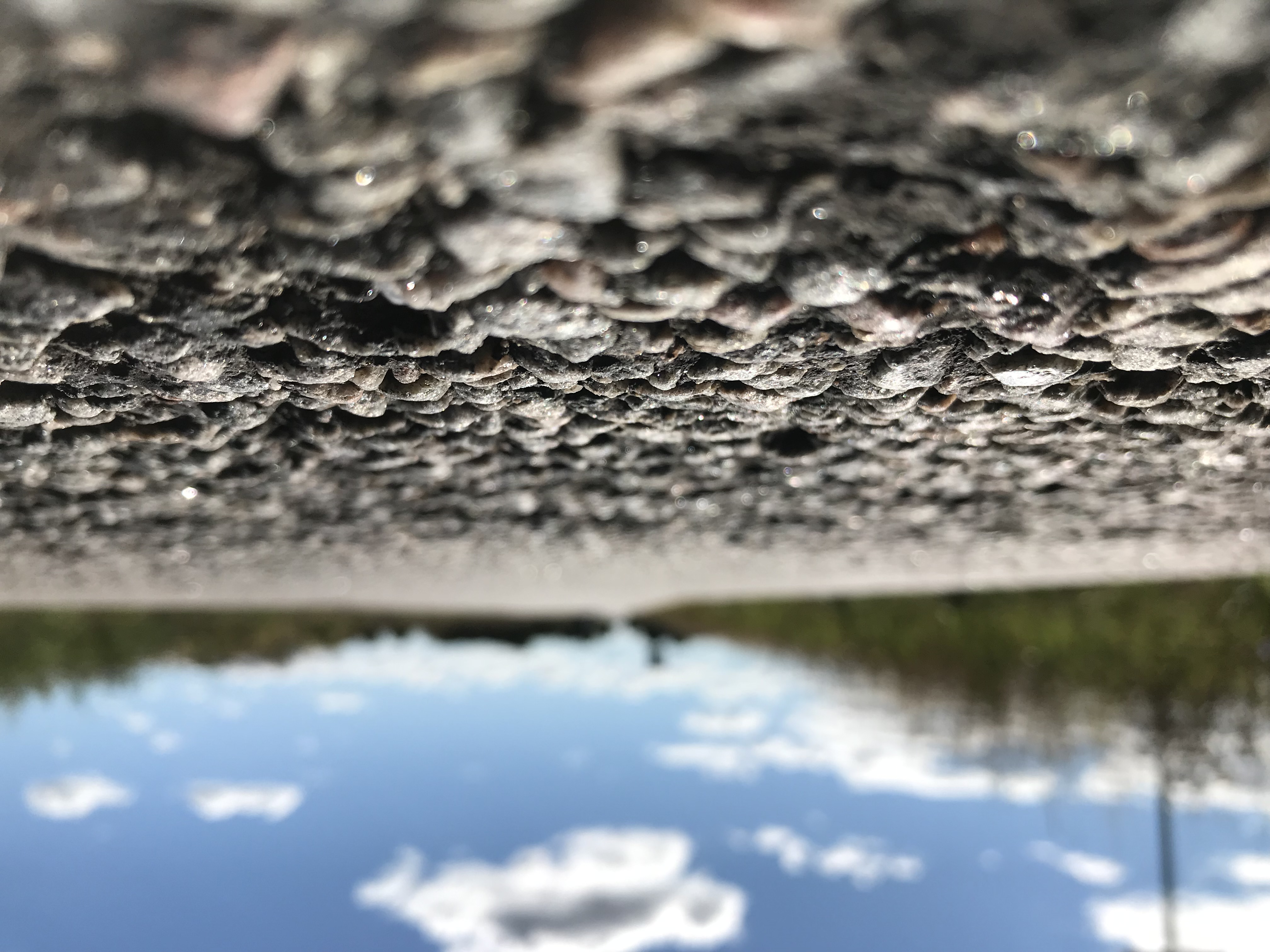 Closeup af en vej hvor man tydeligt ser de småsten en vejbelægning er lavet af