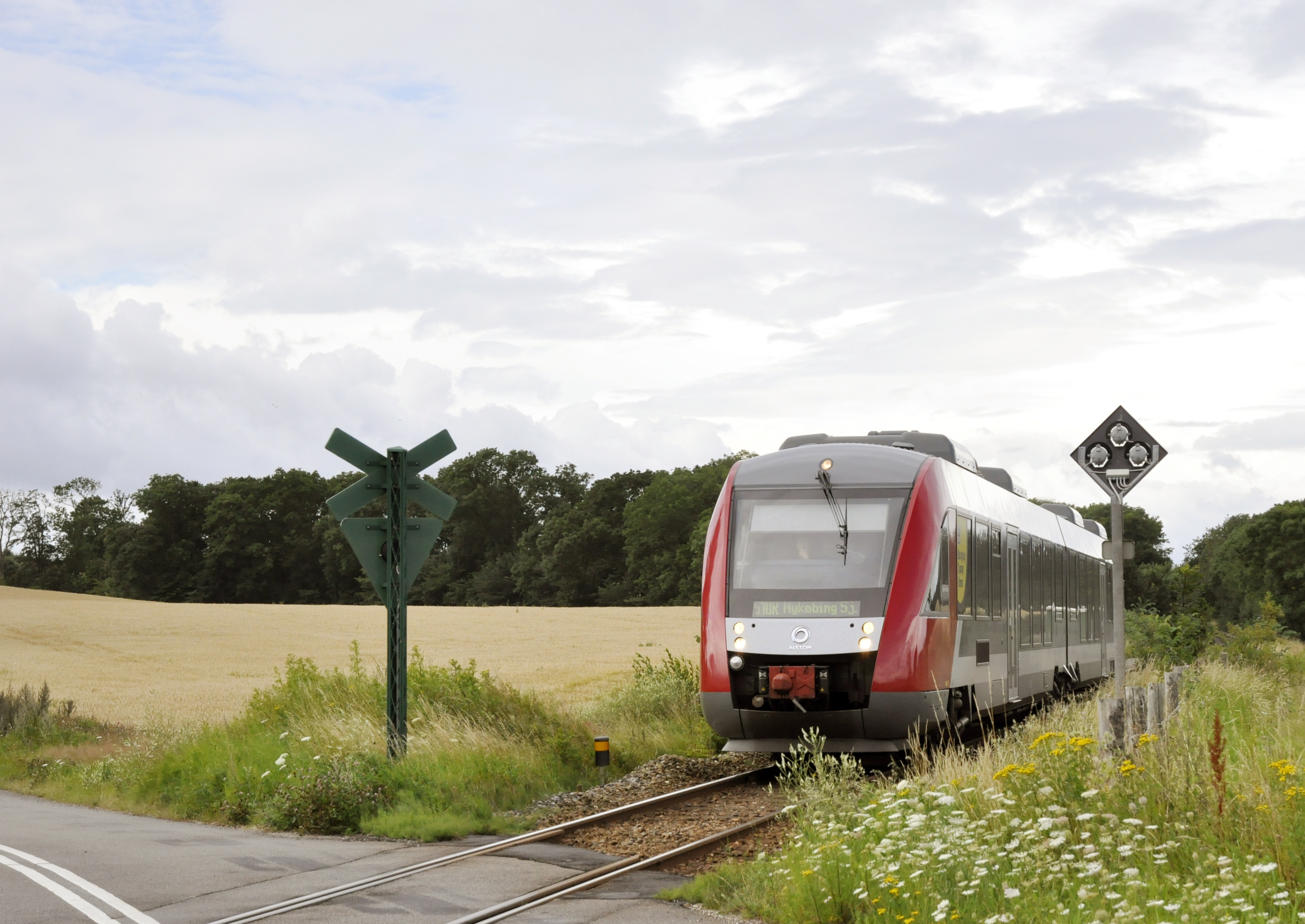 Tog kører ved jernbaneoverskæring nær mark og blomsterhav