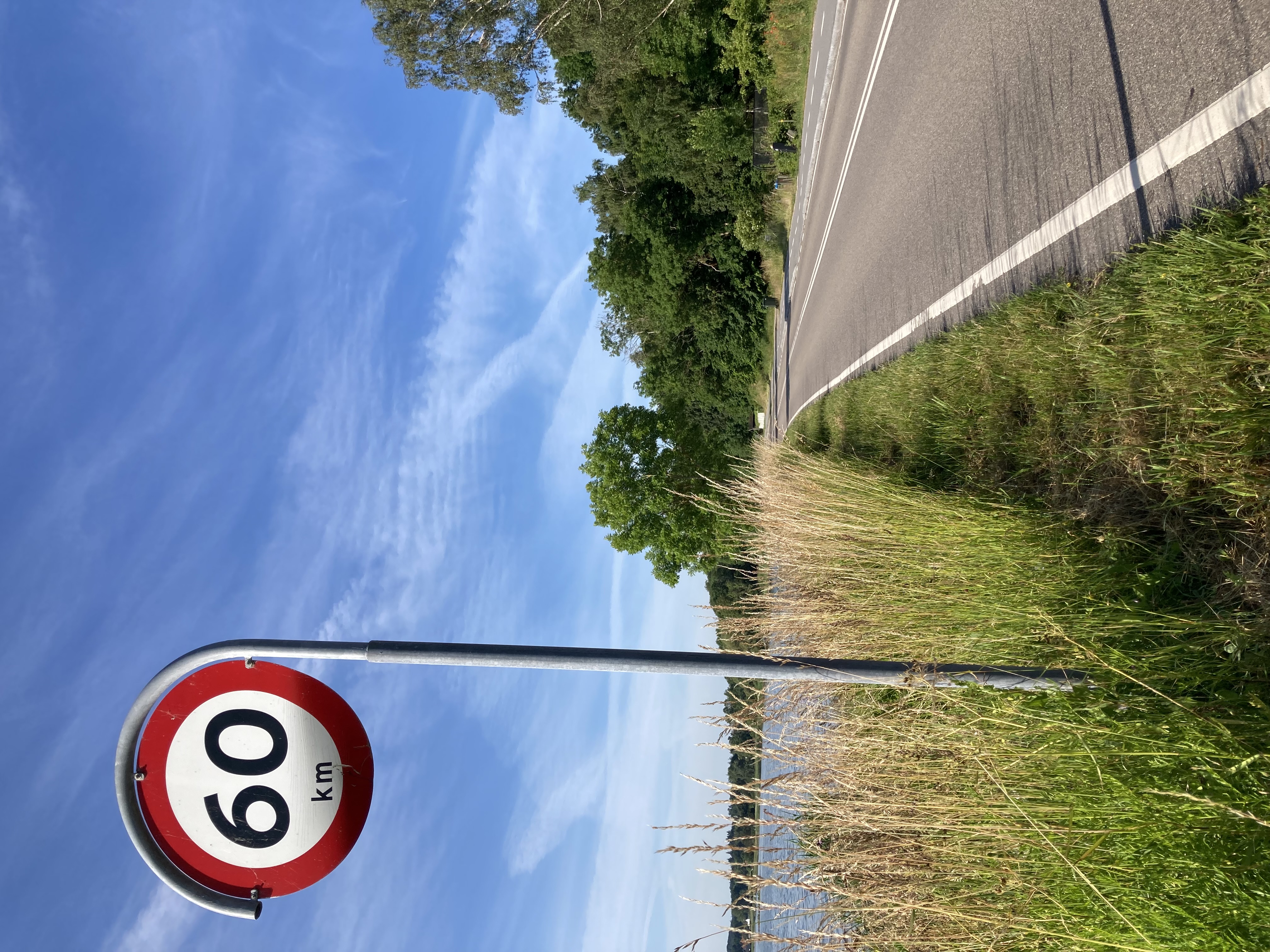 Vejskilt med 60 km hastighedsbegrænsning ved Egebjergvej - rabatten er delvist klippet så der er plads til både trafiksikkerhed og vilde blomster. Isefjorden ses i baggrunden og himlen er blå